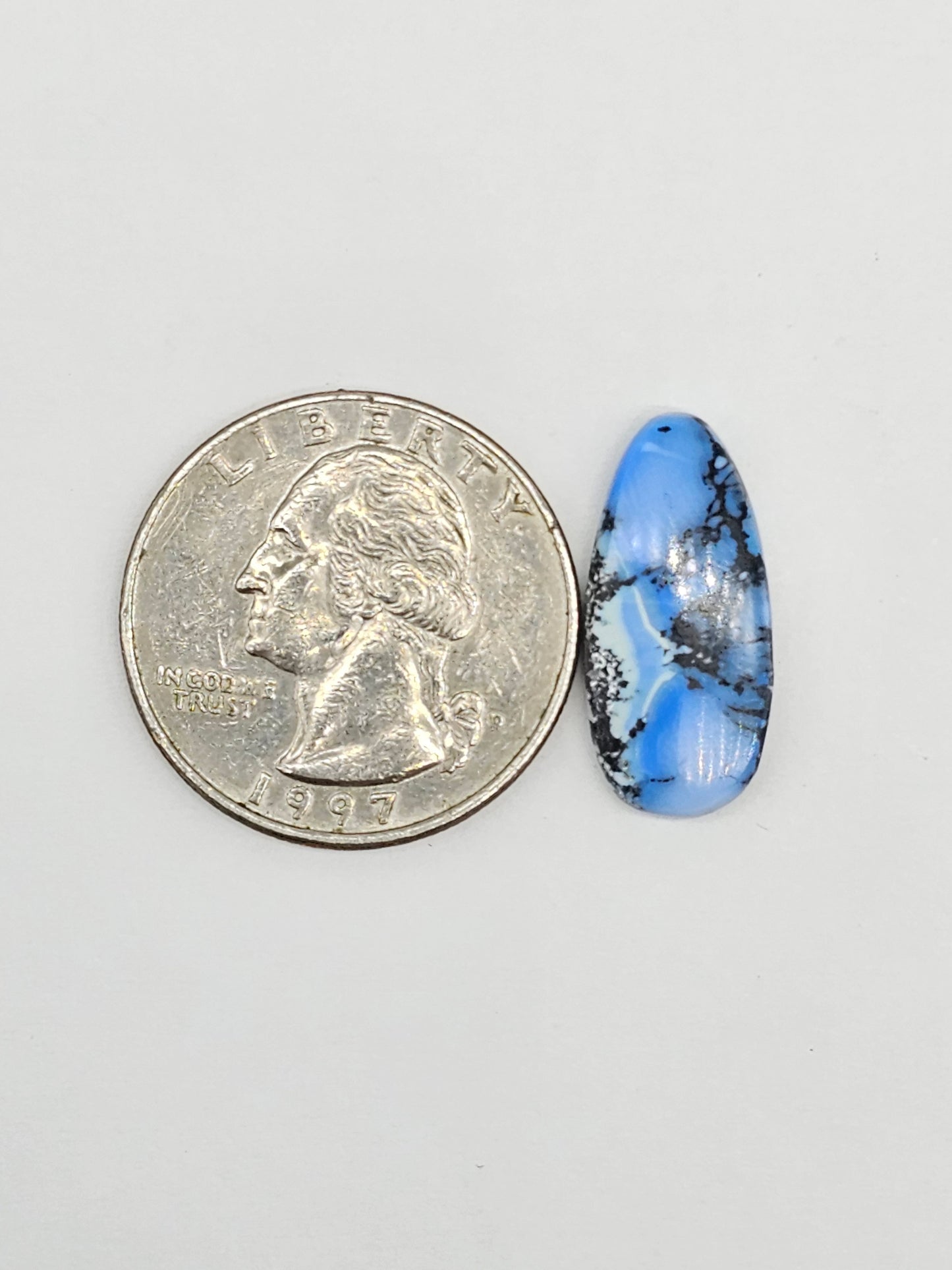 Dark Moon Variscite Cabochon