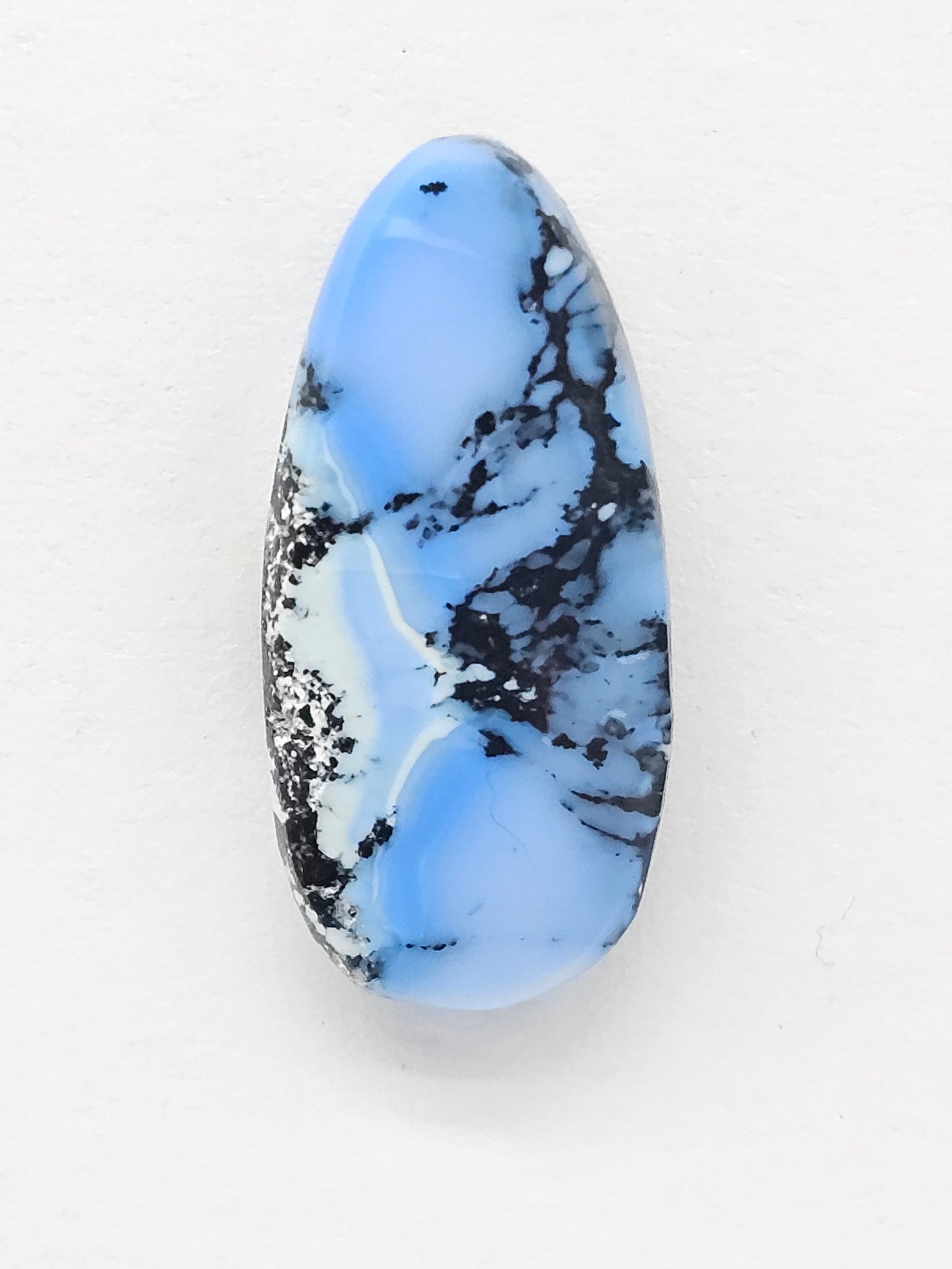 Dark Moon Variscite Cabochon