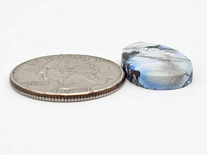 Dark Moon Variscite Cabochon