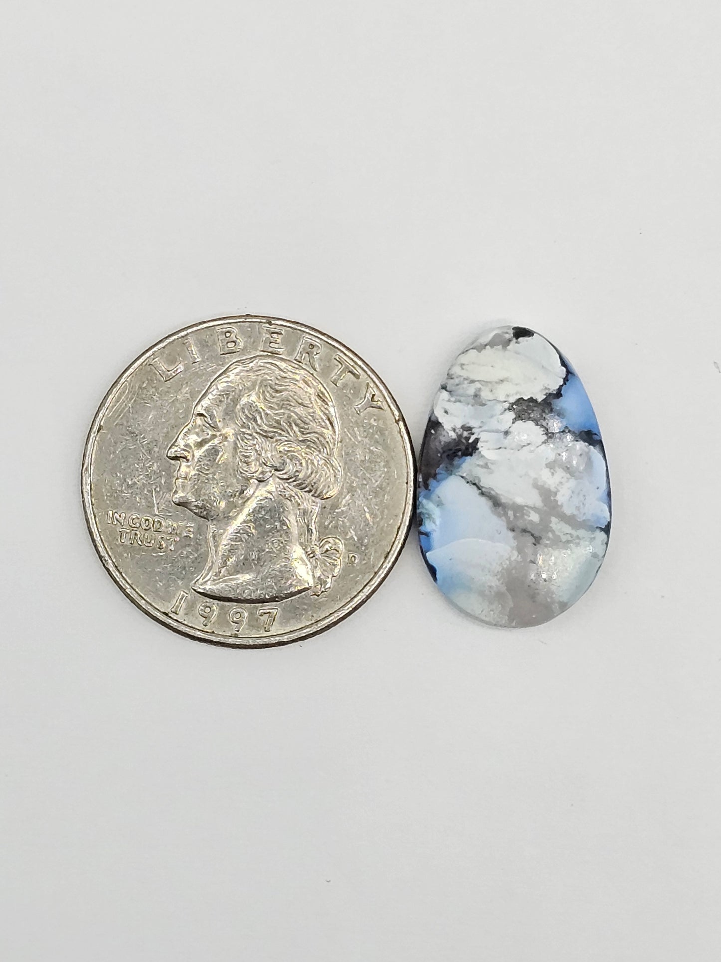 Dark Moon Variscite Cabochon