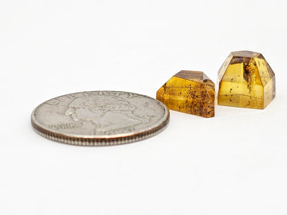 Amber Geometric Cabochon set