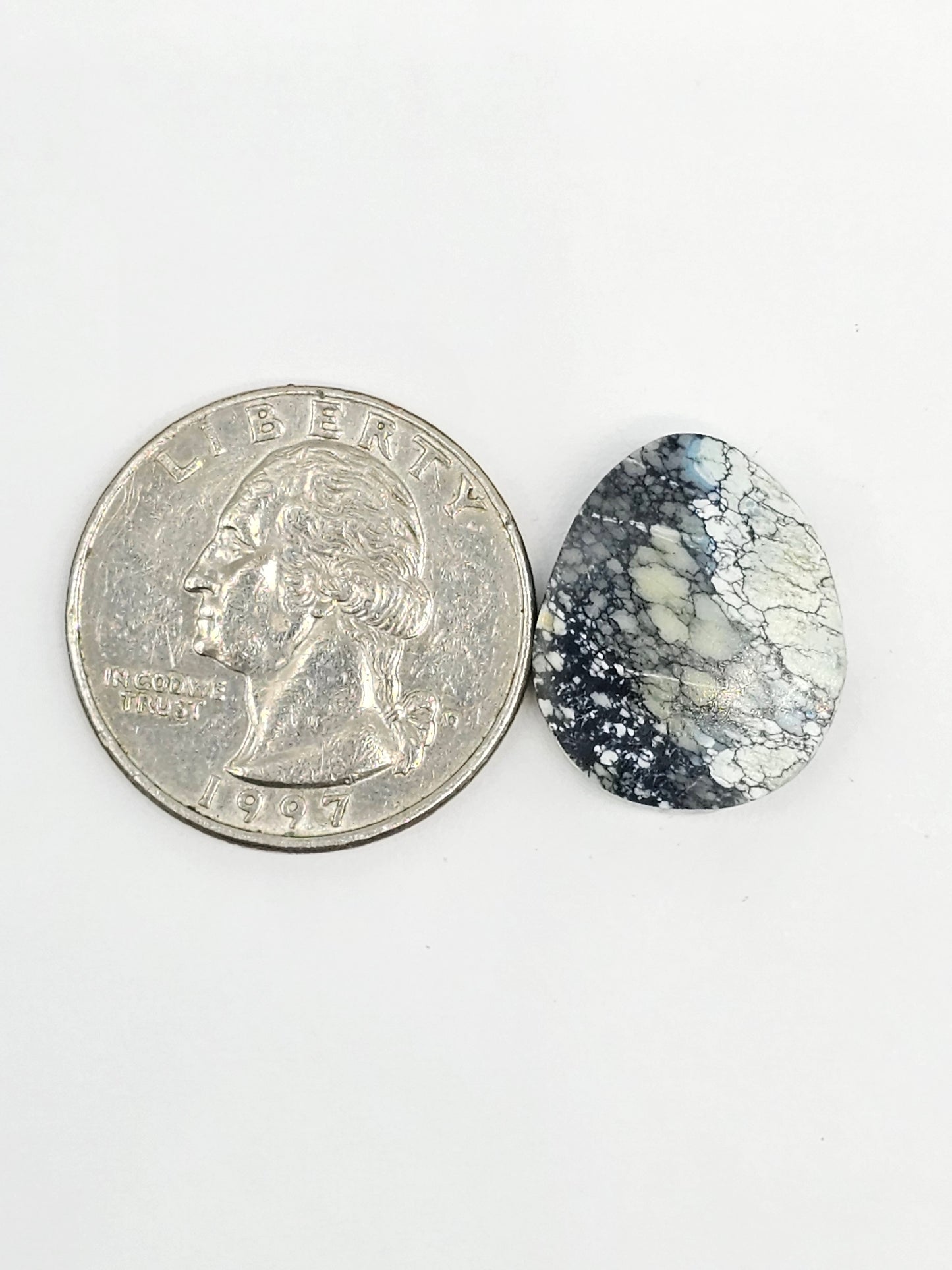 Dark Moon Variscite Cabochon