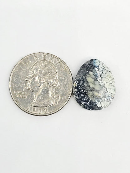 Dark Moon Variscite Cabochon