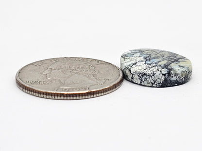 Dark Moon Variscite Cabochon