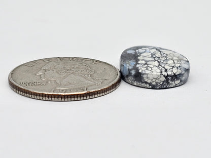 Dark Moon Variscite Cabochon