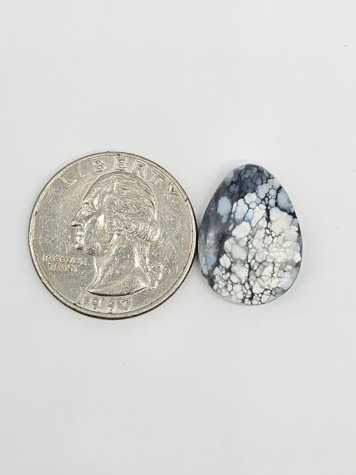 Dark Moon Variscite Cabochon