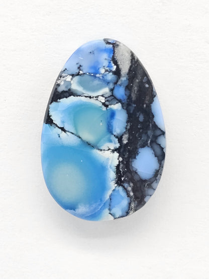 Dark Moon Variscite Cabochon