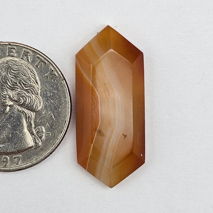 Carnelian Agate Cabochon