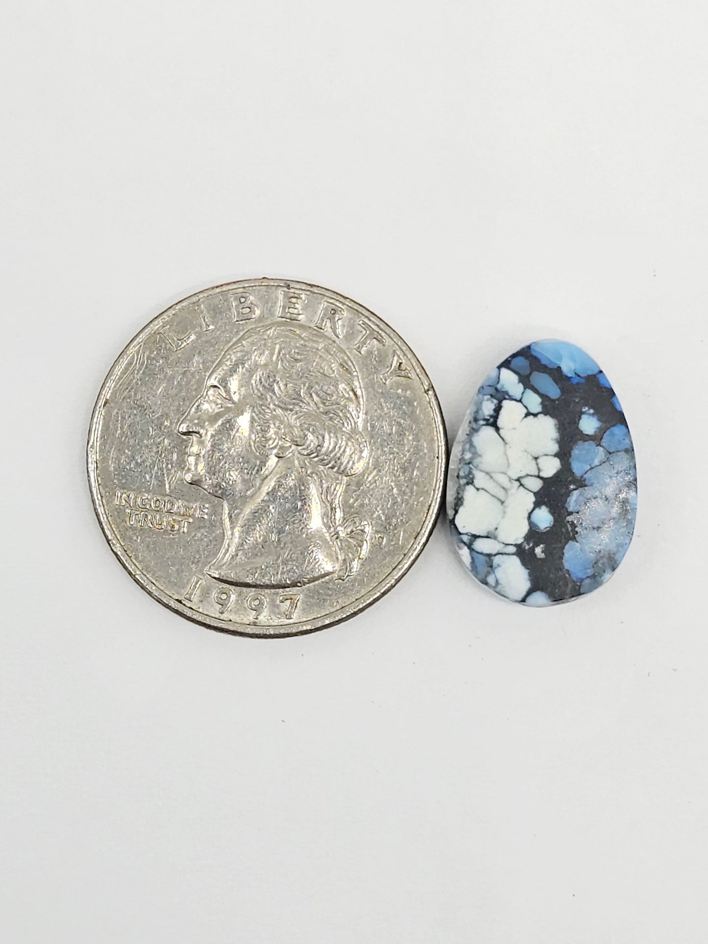 Dark Moon Variscite Cabochon