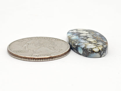 Dark Moon Variscite Cabochon