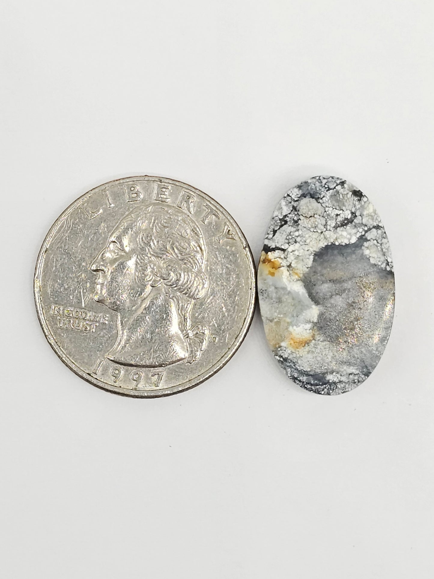 Dark Moon Variscite Cabochon