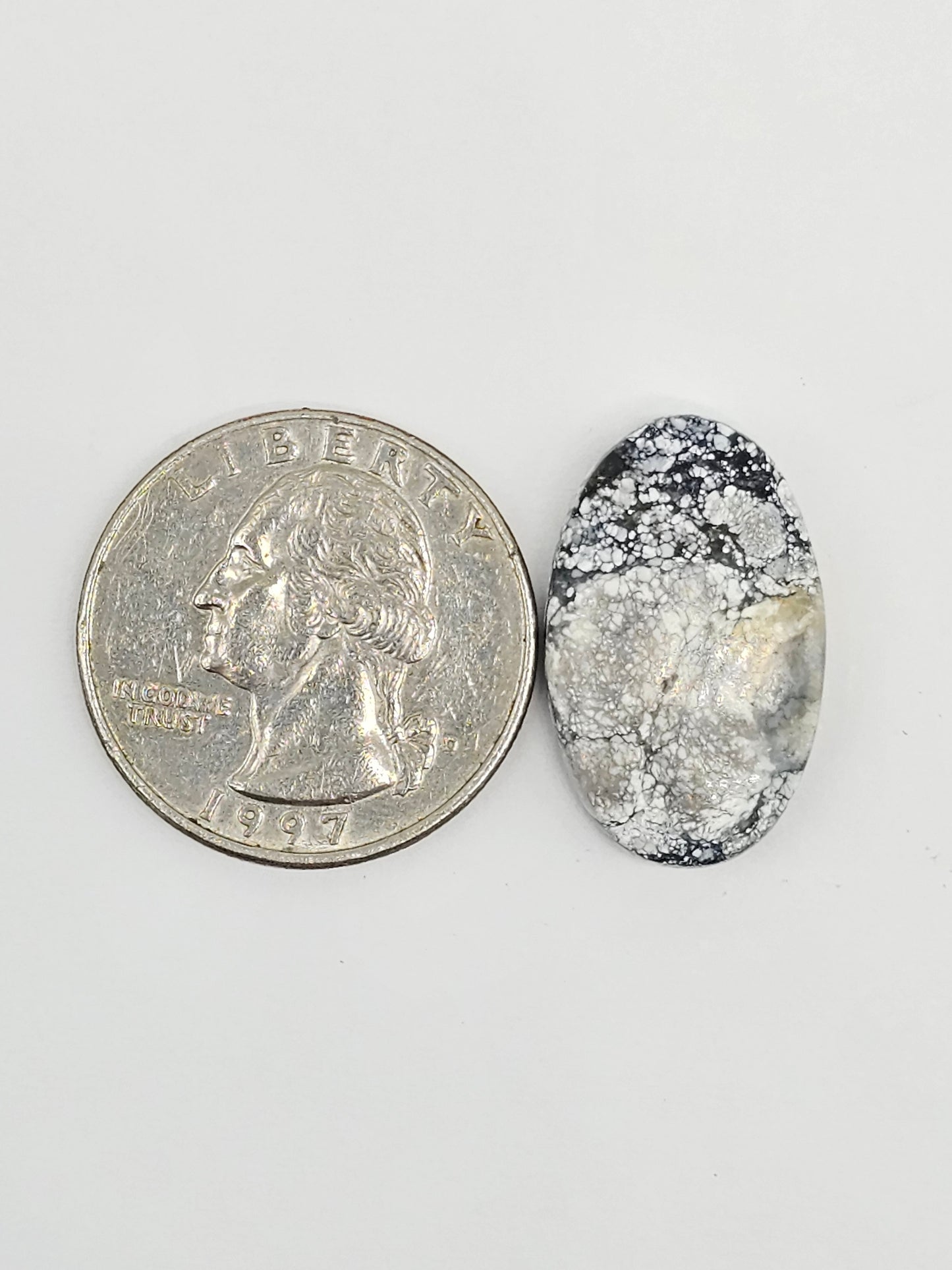 Dark Moon Variscite Cabochon