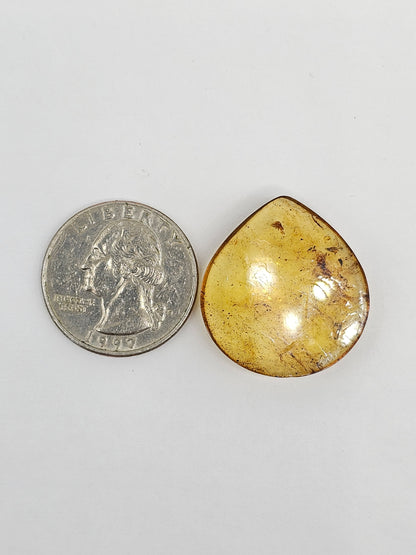 Amber cabochon | Artisan Cut Gemstone