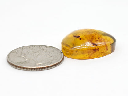 Amber cabochon | Artisan Cut Gemstone