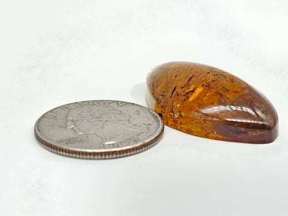 Amber cabochon | Artisan Cut Gemstone