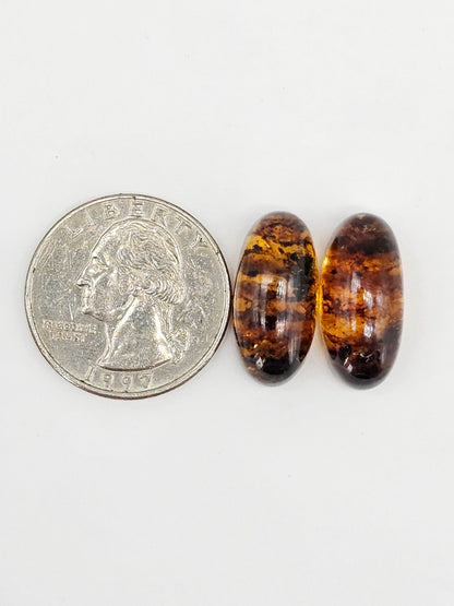 Amber cabochon pair | Artisan Cut Gemstone