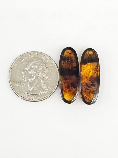 Amber cabochon pair | Artisan Cut Gemstone