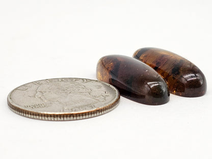 Amber cabochon pair | Artisan Cut Gemstone