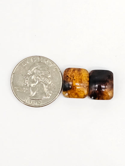 Amber cabochon pair | Artisan Cut Gemstone