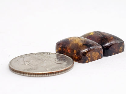 Amber cabochon pair | Artisan Cut Gemstone