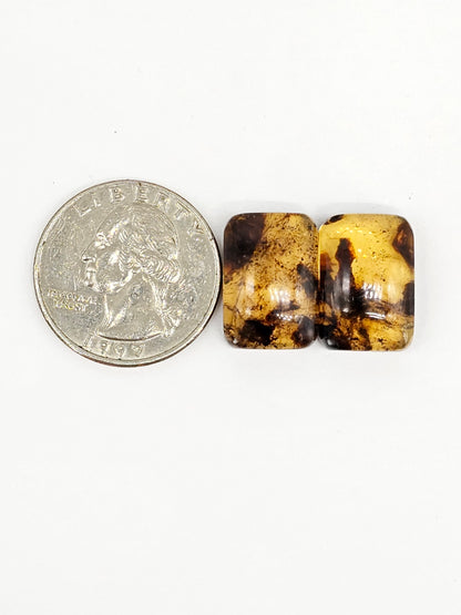 Amber cabochon pair | Artisan Cut Gemstone