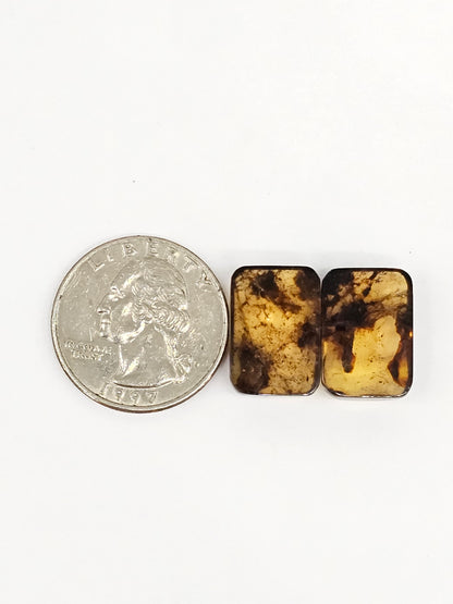 Amber cabochon pair | Artisan Cut Gemstone