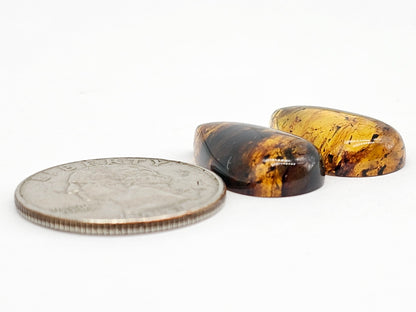 Amber cabochon pair | Artisan Cut Gemstone