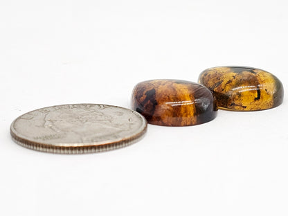 Amber cabochon pair | Artisan Cut Gemstone