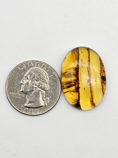 Amber authentic cabochon large