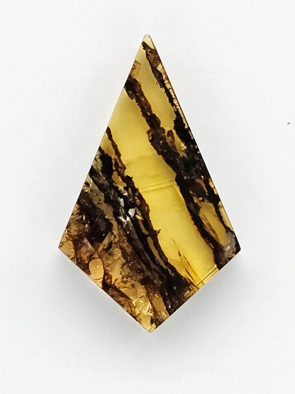 Amber authentic cabochon large