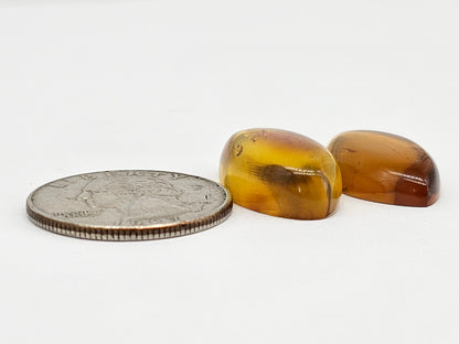 Amber cabochon pair | Artisan Cut Gemstone