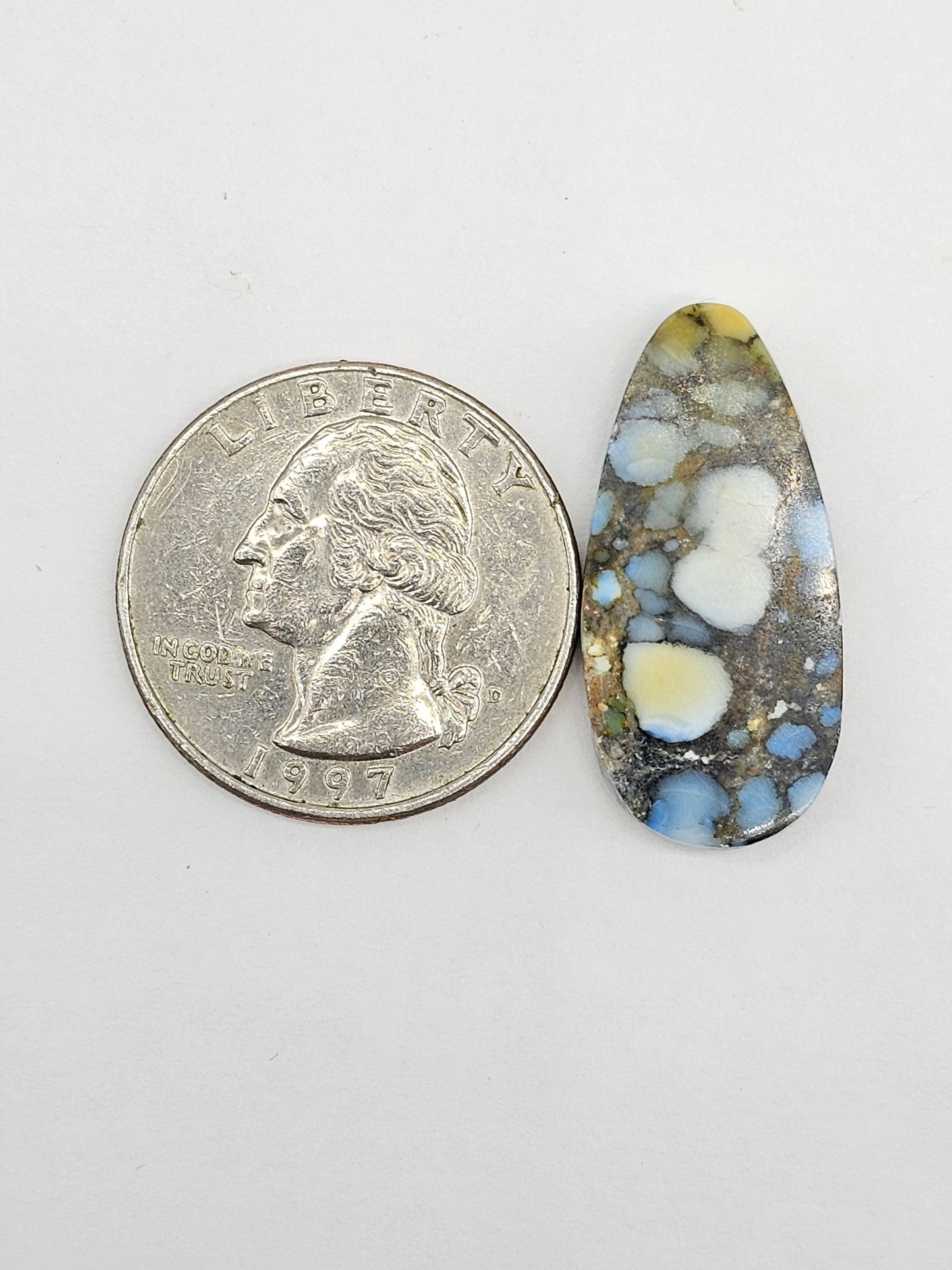 Dark Moon Variscite Cabochon