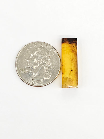 Amber Rectangle Cabochon