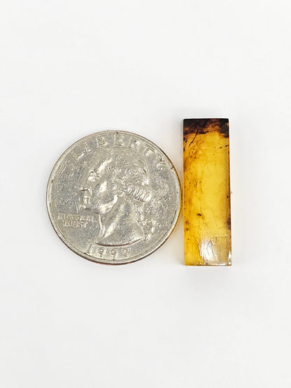 Amber Rectangle Cabochon