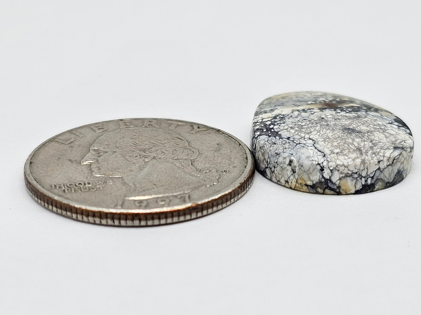 Dark Moon Variscite Cabochon
