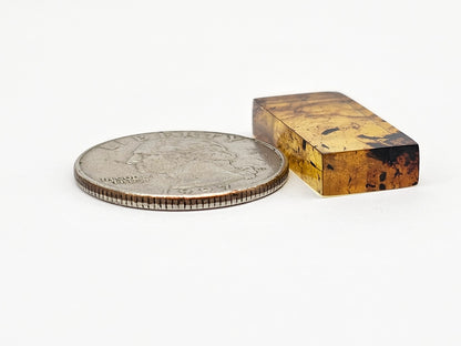 Amber Rectangle Cabochon