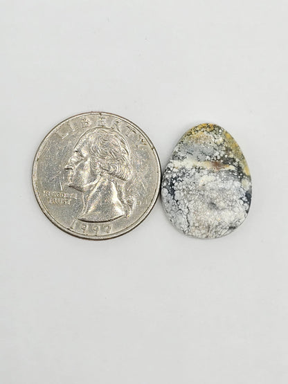 Dark Moon Variscite Cabochon