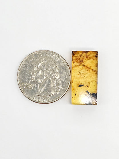 Amber Rectangle Cabochon
