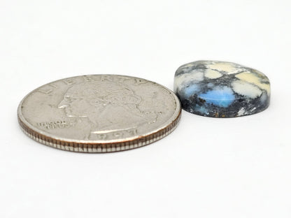 Dark Moon Variscite Cabochon