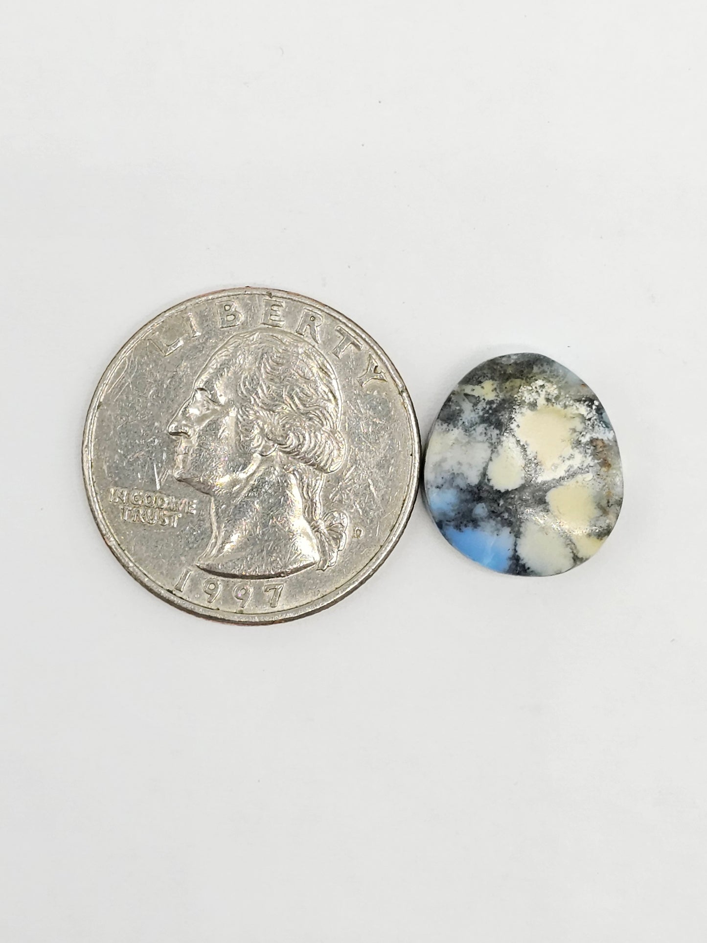 Dark Moon Variscite Cabochon