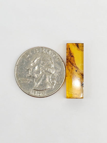 Amber Rectangle Cabochon