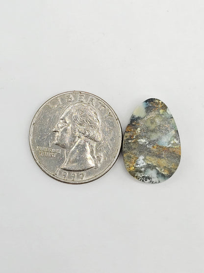 Dark Moon Variscite Cabochon