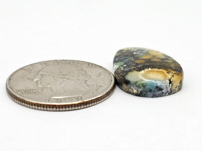 Dark Moon Variscite Cabochon