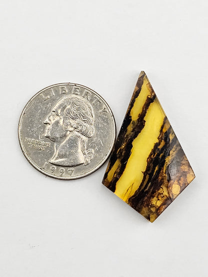 Amber authentic cabochon large