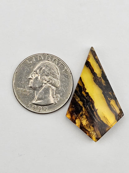 Amber authentic cabochon large