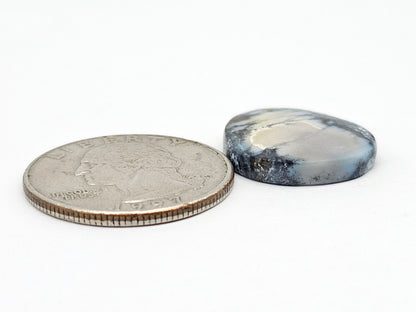 Dark Moon Variscite Cabochon