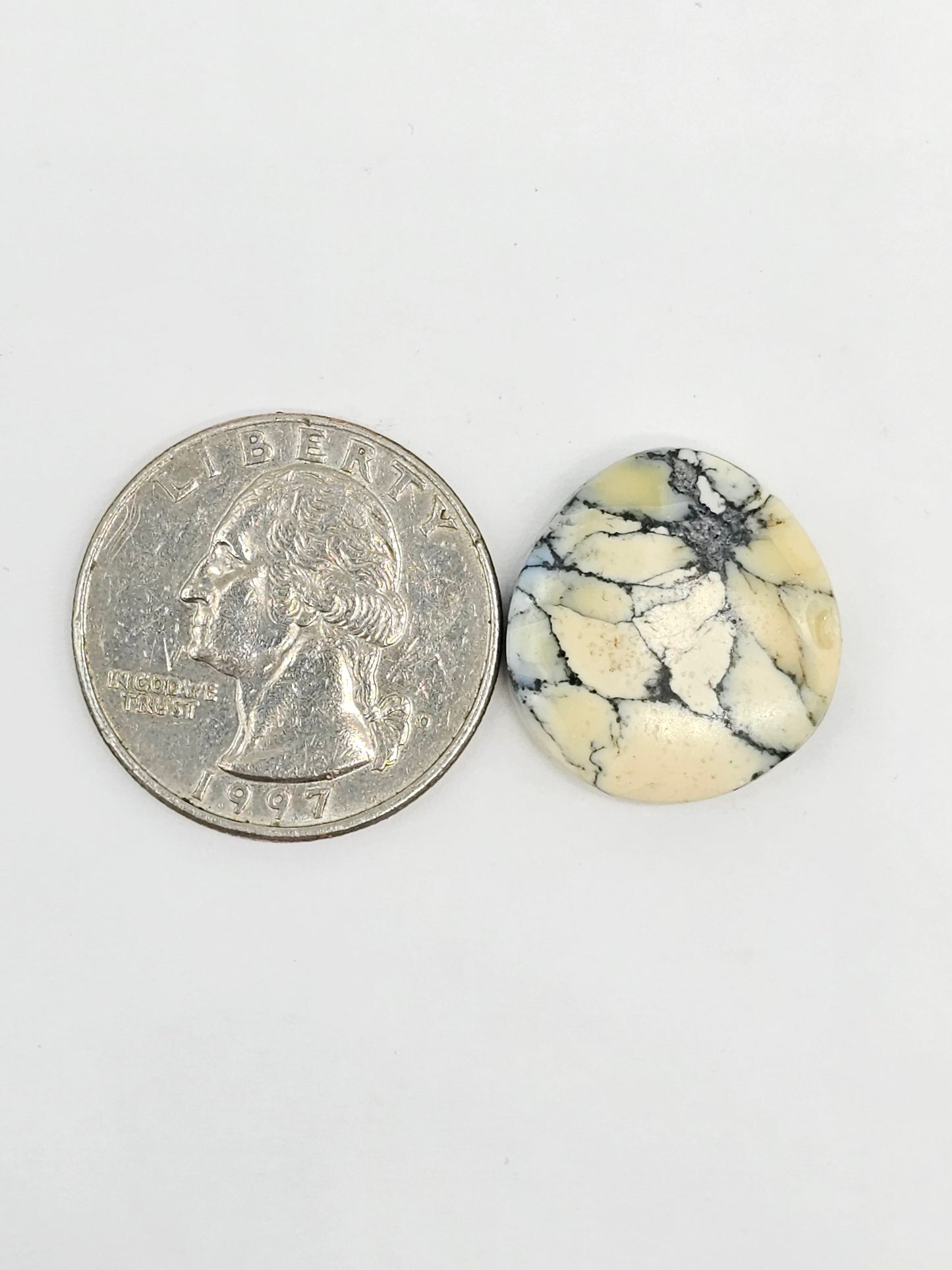 Dark Moon Variscite Cabochon