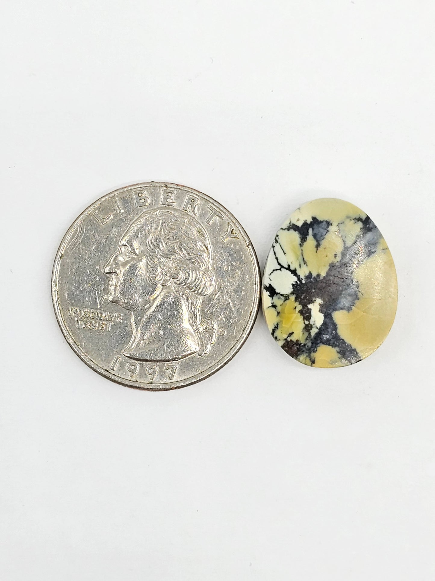 Dark Moon Variscite Cabochon
