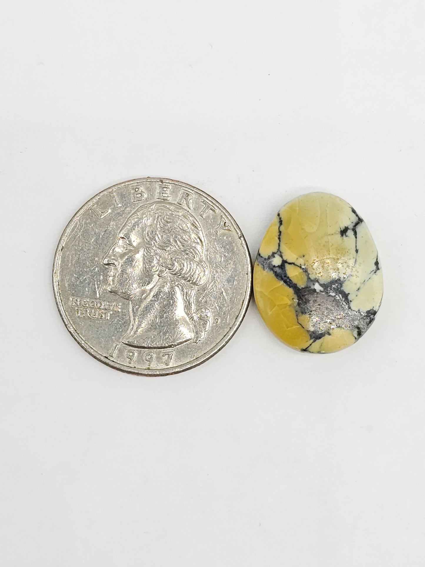 Dark Moon Variscite Cabochon
