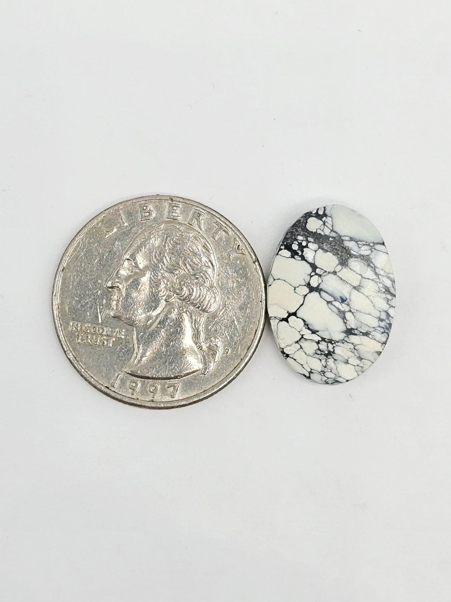 Dark Moon Variscite Cabochon